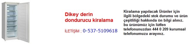 İstanbul dikey derin dondurucu kiralama İletişim Tlf ; 0 544 929 08 35