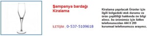 İstanbul Şampanya bardağı Kiralama İletişim Tlf ; 0 544 929 08 35